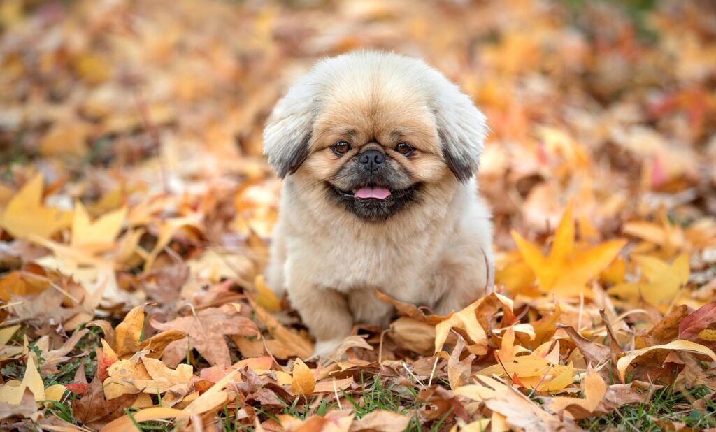 腋臭症の治療が大阪で受けられるクリニックはどこですか？