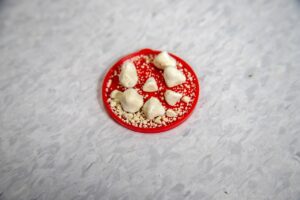 ワキガ手術の痛みを大阪で軽減する方法は？