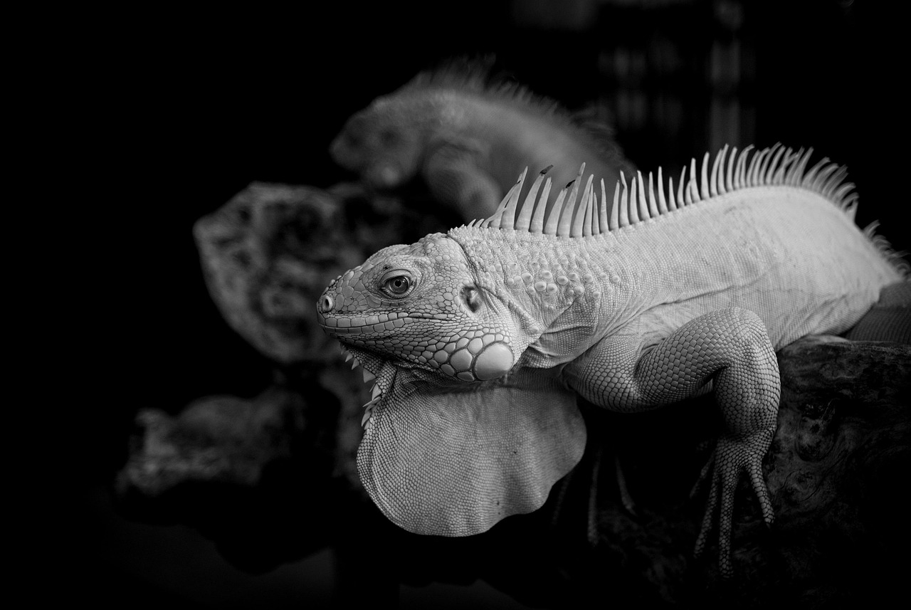 ワキガ治療が安い大阪のおすすめクリニックは？